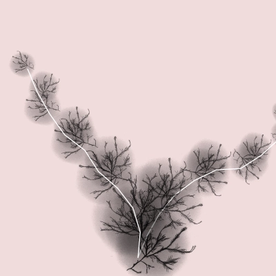 2026-06-24
